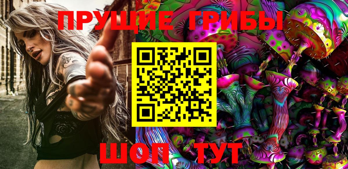 Воронеж  Галлюциногенные грибы Psilocybe  Вход с VPN 